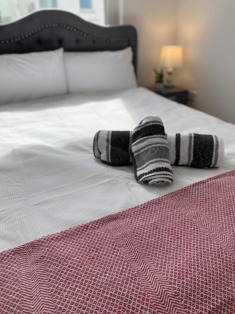 The Duffy Apartment Белфаст Екстериор снимка